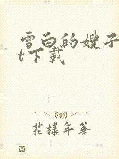 雪白的嫂子txt下载