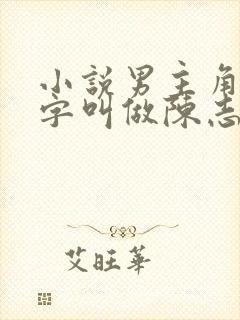 小说男主角的名字叫做陈志远