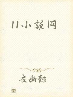 11小说网