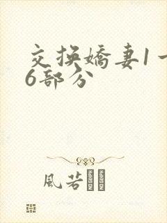 交换娇妻1一36部分