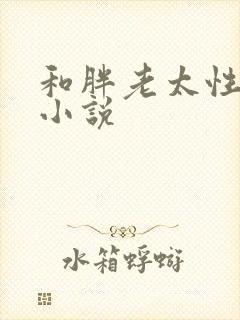 和胖老太性经历小说