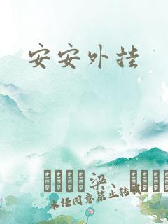 安安外挂