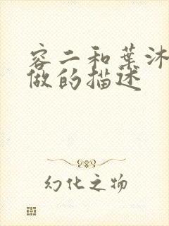 容二和叶沐走着做的描述