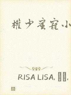 权少蜜宠小娇妻