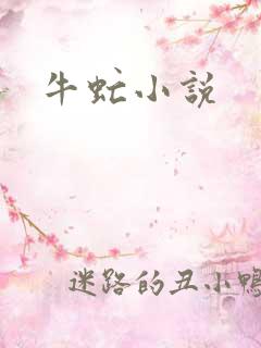 牛虻小说
