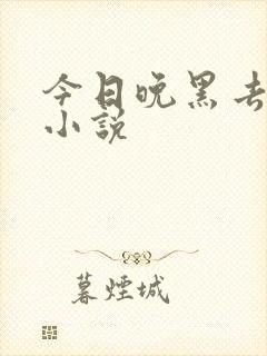 今日晚黑去见你小说