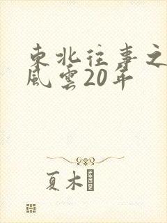 东北往事之黑道风云20年