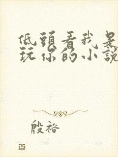 低头看我是怎么玩你的小说