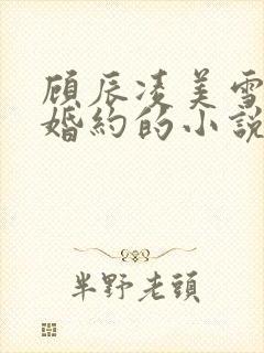 顾辰凌美雪五份婚约的小说名字叫什么