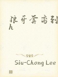 狼牙套脔到她哭h