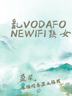 乱VODAFONEWIFI熟女