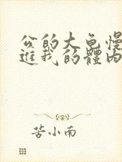 公的大龟慢慢挺进我的体内小说