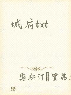 城府txt