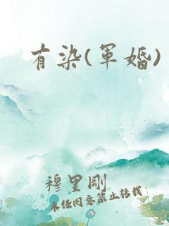 有染(军婚)