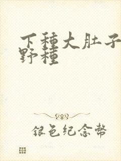 下种大肚子怀孕野种