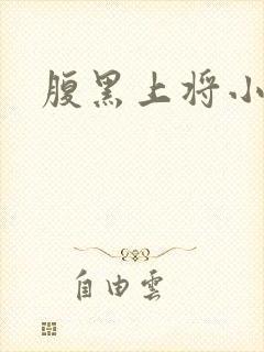 腹黑上将小小妻