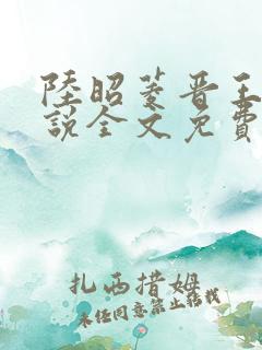 陆昭菱晋王的小说全文免费阅读