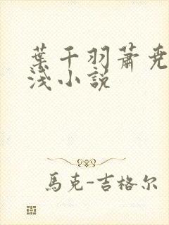 叶千羽萧尧白清浅小说