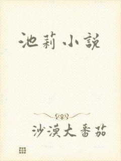 池莉小说