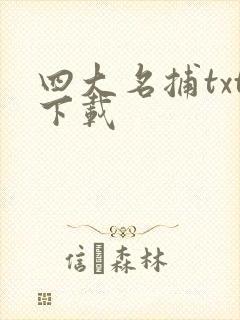 四大名捕txt下载