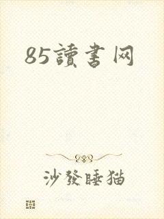 85读书网