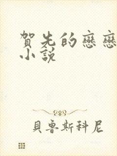 贺先的恋恋不忘小说