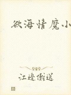 欲海情魔小说