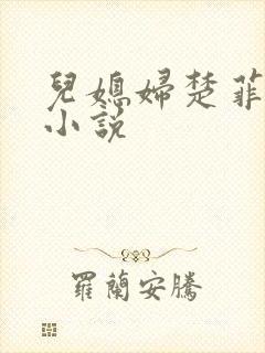 儿媳妇楚菲菲的小说