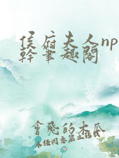 侯府夫人np高干笔趣阁