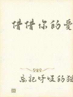 借借你的爱