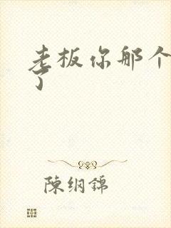 老板你那个太长了