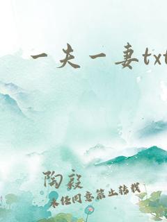 一夫一妻txt