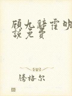 顾九辞霍明澈小说免费