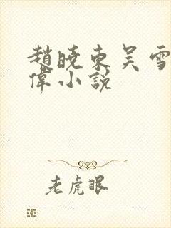 赵晓东吴雪晴郑伟小说