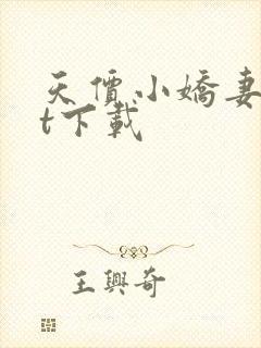 天价小娇妻txt下载