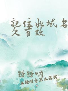 记住此域名记永久有效