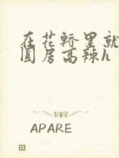 在花轿里就开始圆房高辣h