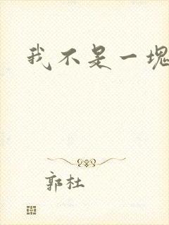 我不是一块石头