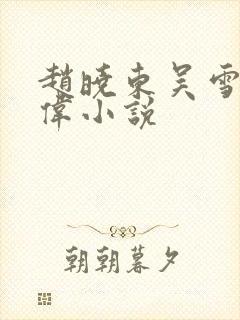 赵晓东吴雪晴郑伟小说