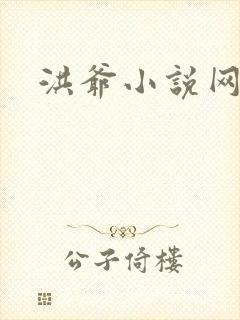 洪爷小说网
