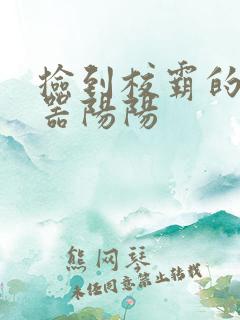 捡到校霸的遥控器阳阳