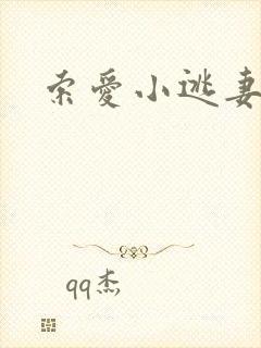 索爱小逃妻