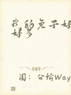 我的兔子好软水好多