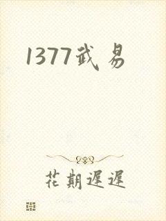 1377武易