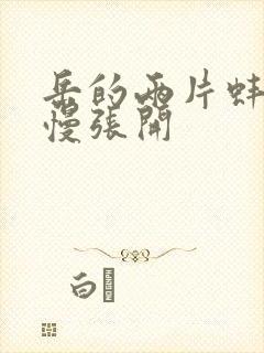 岳的两片蚌肉慢慢张开