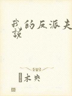 我的反派夫君小说