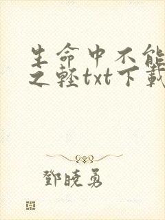 生命中不能承受之轻txt下载