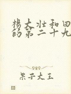 杨大壮和田桂花的第二十九