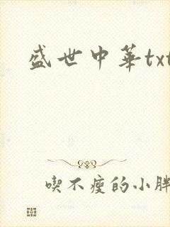 盛世中华txt