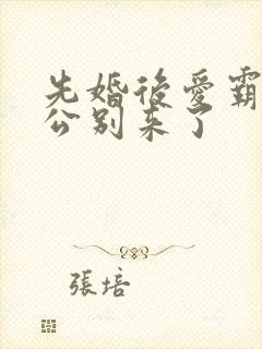 先婚后爱霸道老公别来了